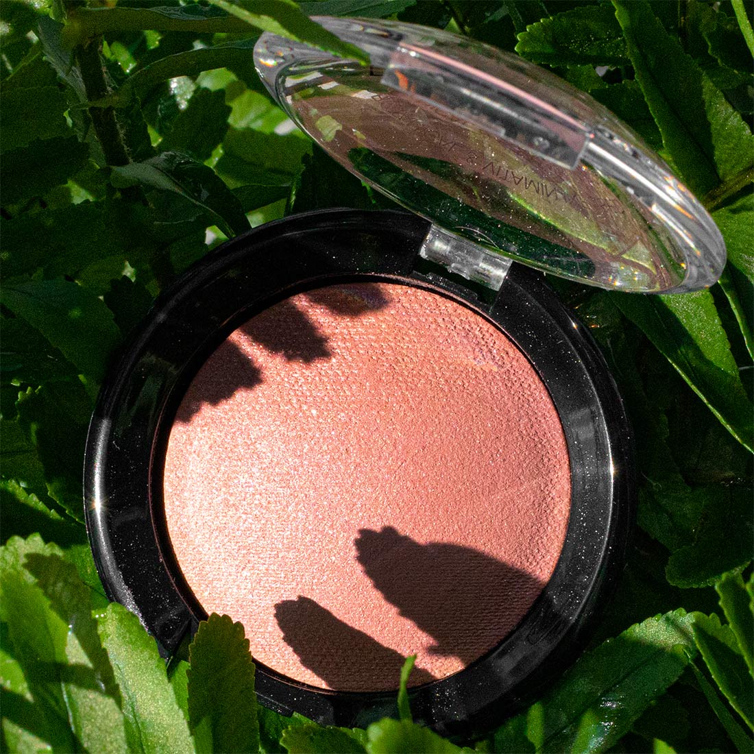 Palladio Baked Blush - Wish (Image 13)