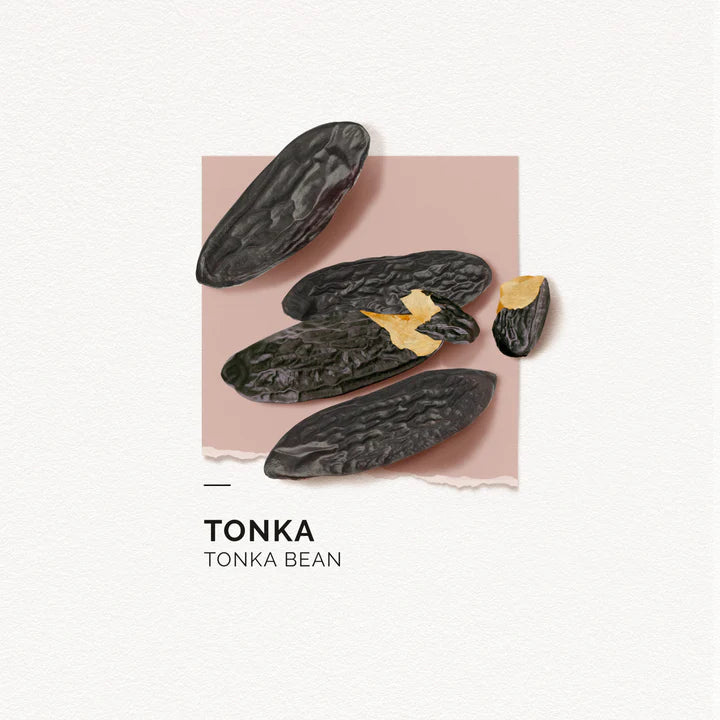 Solinotes Tonka Eau de Parfum 50ml - 50 ml (Image 6)