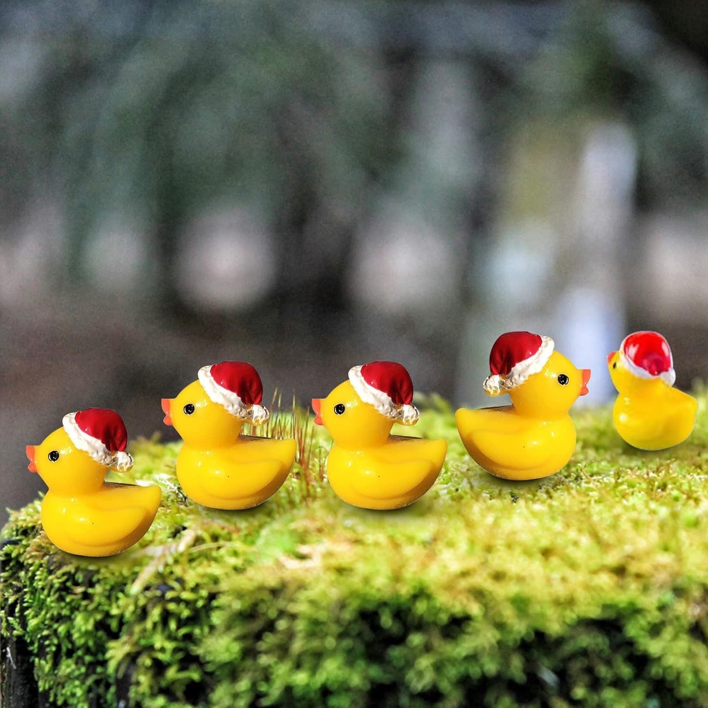 Mini Ducks with Santa hat (Free with orders $25+, while supplies last!!)